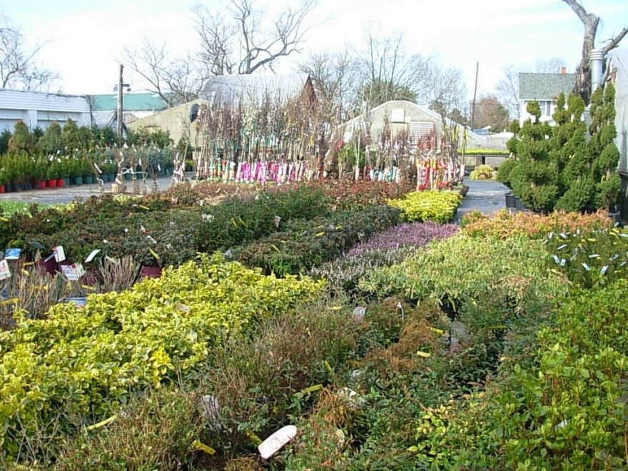 Jeff's Green Houses & Gift Shop