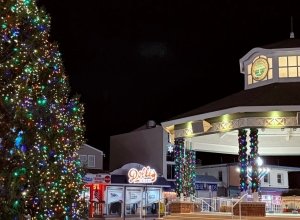 2025 Holiday Happenings in Southern Delaware