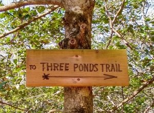 Southern Delaware Trail Mix: 8 Awesome Trails to Explore