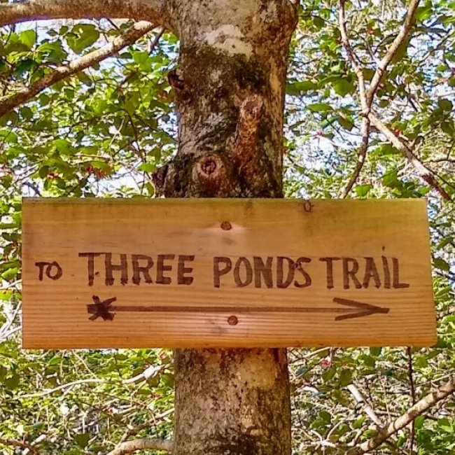 Southern Delaware Trail Mix: 8 Awesome Trails to Explore