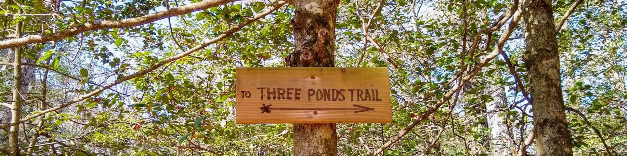 Southern Delaware Trail Mix: 8 Awesome Trails to Explore
