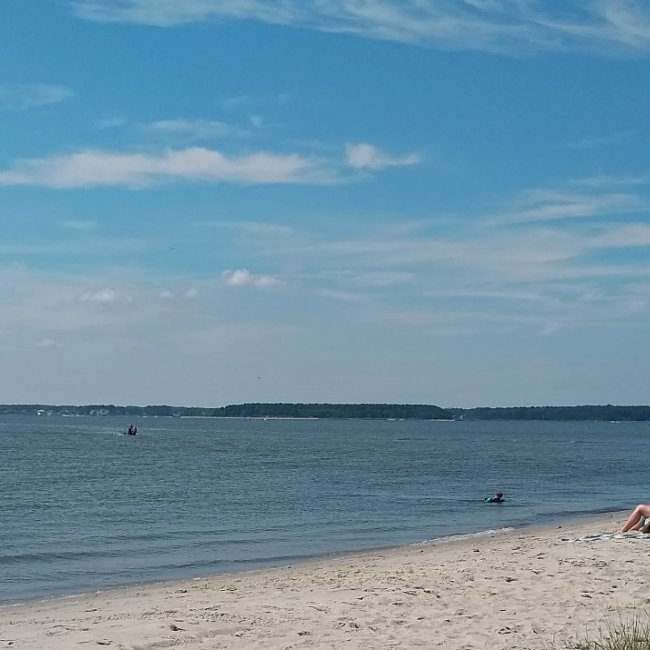 Take These 8 Small but Mighty Steps Towards Sustainable Tourism in Southern Delaware