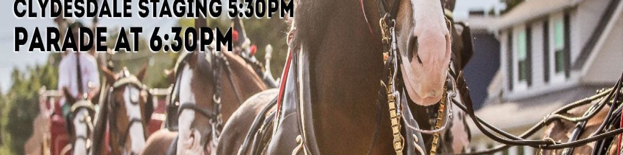 Budweiser Clydesdales coming to Dewey Beach!