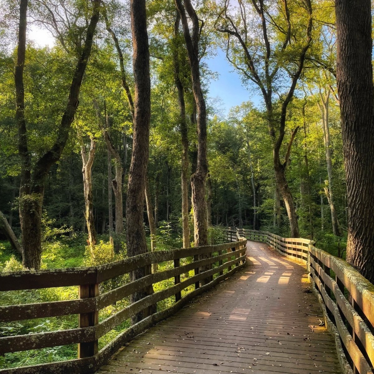 Explore the Many Land and Water Trails for Hikers, Cyclists, and Paddlers in Southern Delaware