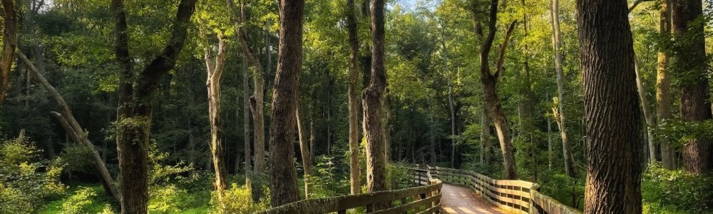 Explore the Many Land and Water Trails for Hikers, Cyclists, and Paddlers in Southern Delaware