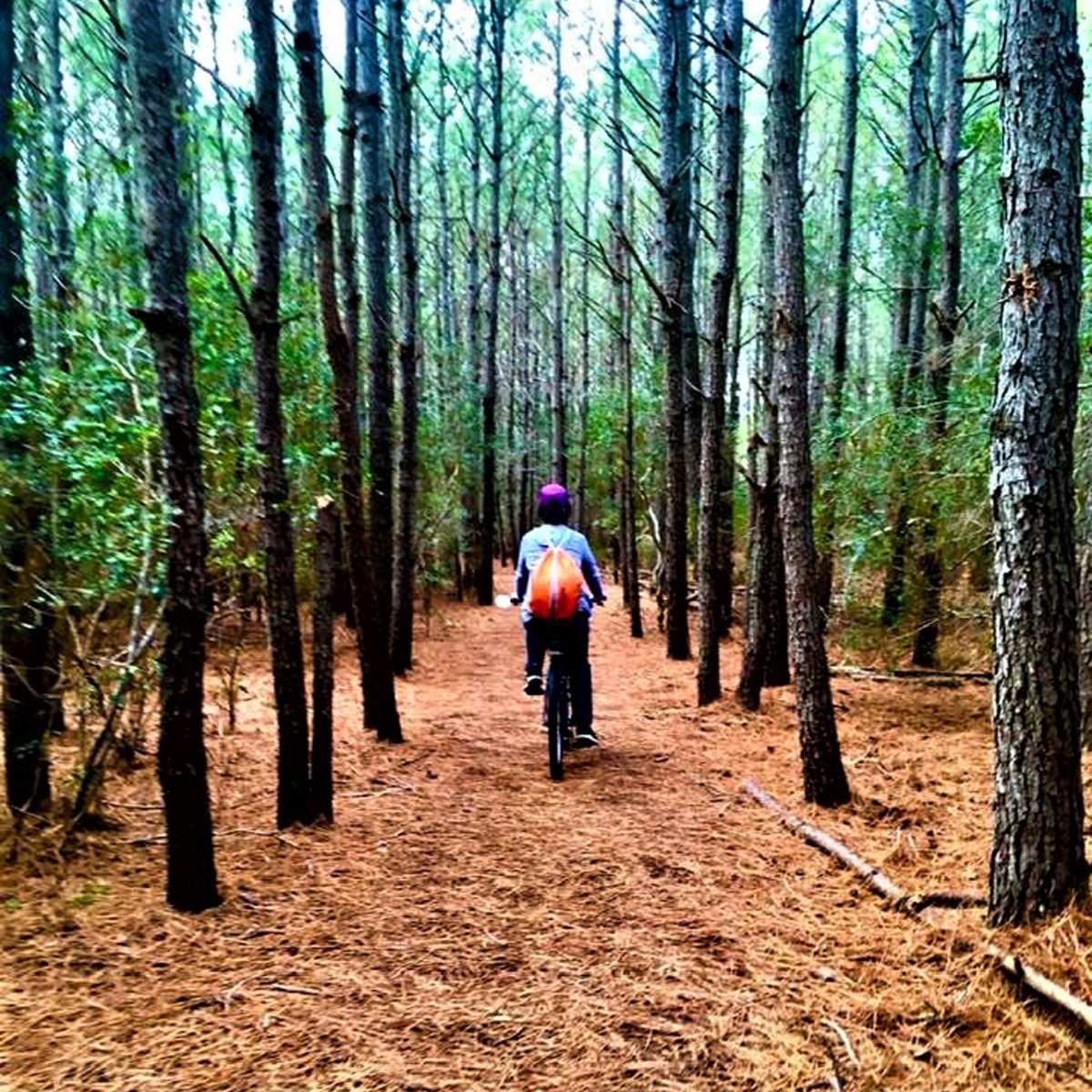 Play on Land, on the Sand and in the Sea!