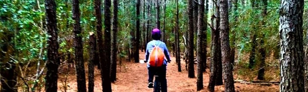 Play on Land, on the Sand and in the Sea!